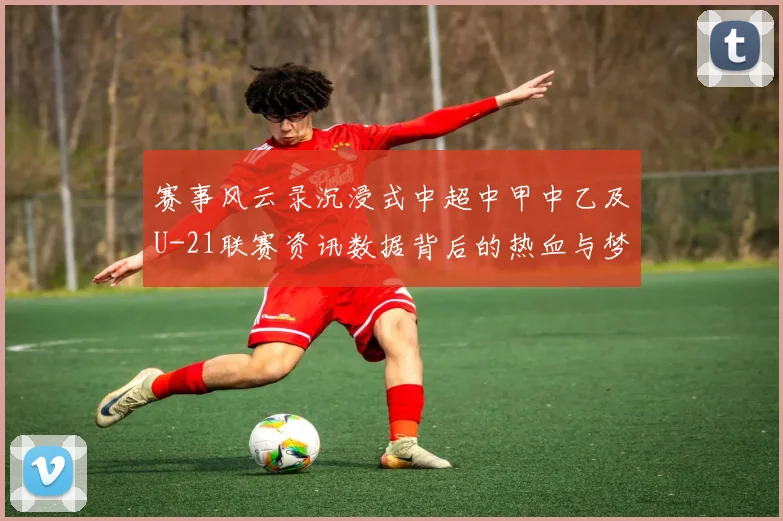 赛事风云录沉浸式中超中甲中乙及U-21联赛资讯数据背后的热血与梦想